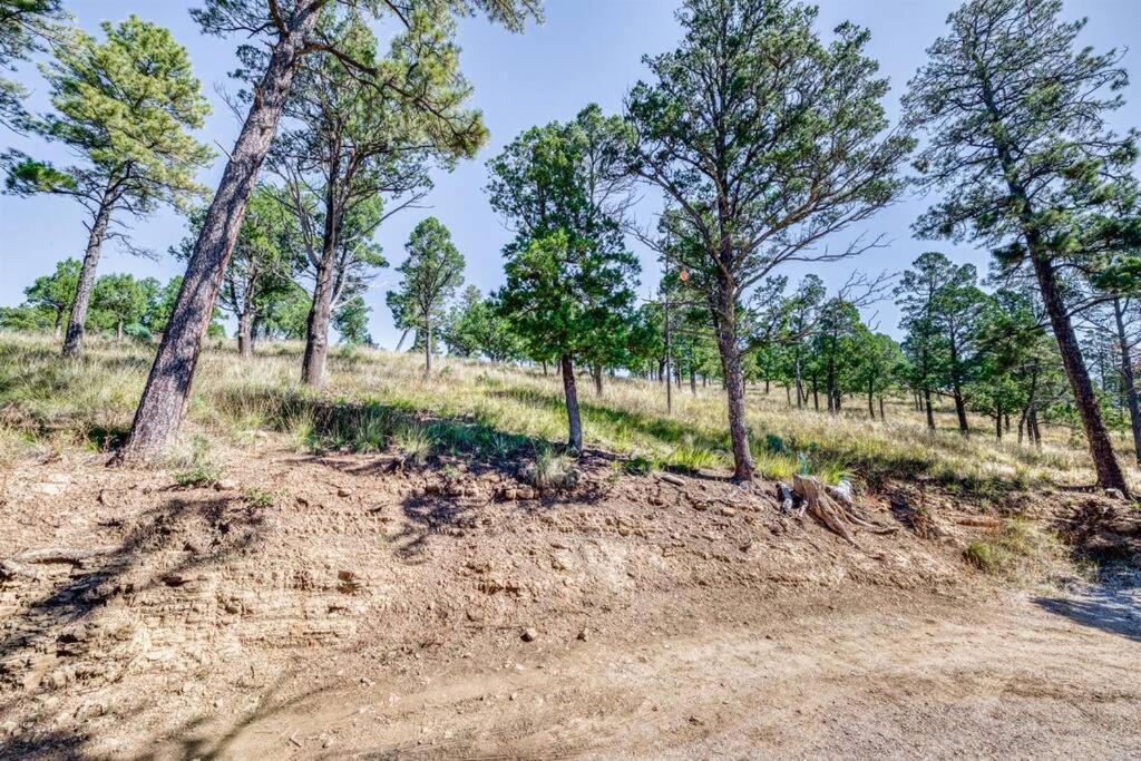 Perk Canyon Hidden Acres-Hot Tub-Gas Fireplace Ruidoso Exterior foto